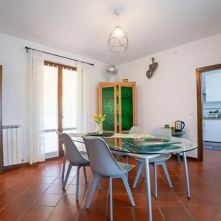 Ulivo Del Duca Fermignano