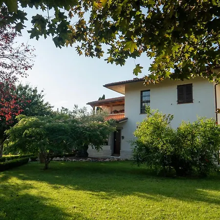 Ulivo Del Duca Fermignano