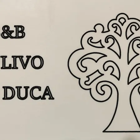 B&B Ulivo Del Duca