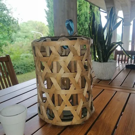 Ulivo Del Duca לינה וארוחת בוקר