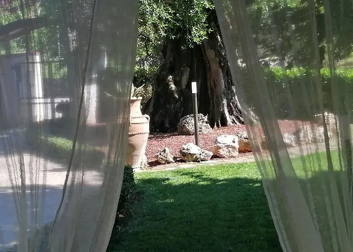 Ulivo Del Duca Fermignano